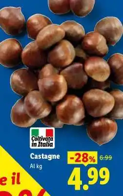 Lidl Castagne offerta