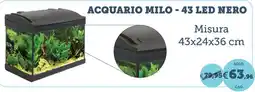 ZooPlanet Acquario Milo offerta