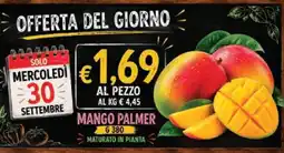 èccoMI Mango Palmer offerta