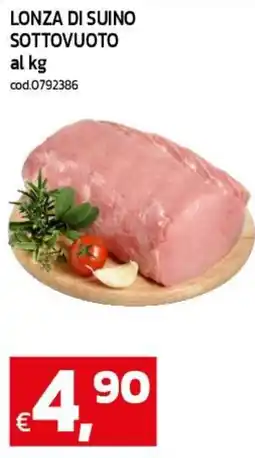 C+C maxigross Lonza di suino sottovuoto offerta