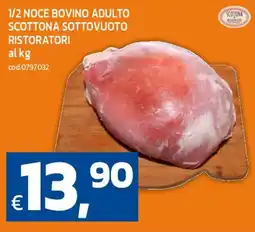 C+C maxigross 1/2 noce bovino adulto scottona offerta