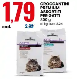 Eurospin Crocchettini premium per gatti Radames offerta