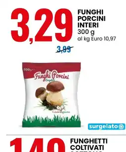Eurospin Funghi Porcini Congelati Gioielligusto offerta