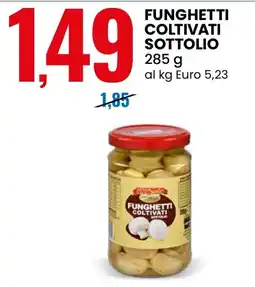 Eurospin Funghetti coltivati sottolio offerta