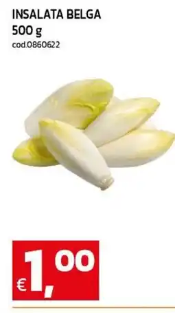 C+C maxigross Insalata belga offerta