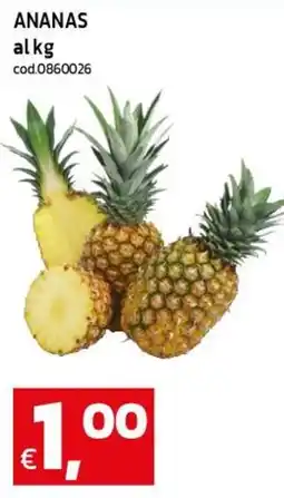 C+C maxigross Ananas offerta