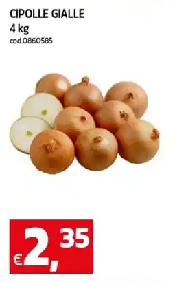 C+C maxigross Cipolle gialle offerta