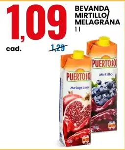 Eurospin Bevanda mirtillo/melagrana PuertoSol offerta
