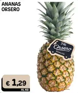 Gala Supermercati Ananas Orsero offerta