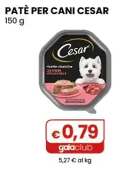 Gala Supermercati Patè per cani Cesar offerta