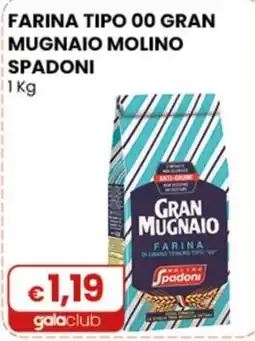 Gala Supermercati Farina tipo 00 gran mugnaio molino spadoni offerta