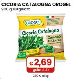 Gala Supermercati Cicoria Catalogna OroGel offerta