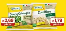 Gala Supermercati Orogel Cicoria Catalogna offerta