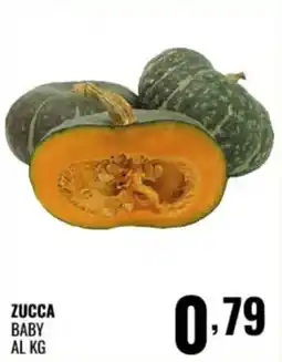 Gecop Zucca baby offerta