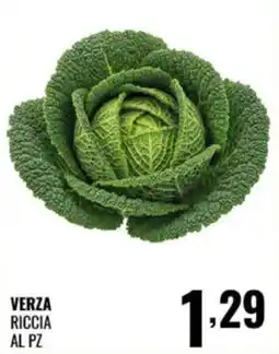 Gecop Verza riccia offerta