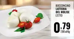 Gecop Bocconcino Latteria del Molise L'Etto offerta
