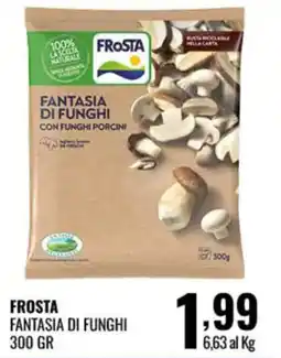 Gecop Frosta Fantasia di funghi con funghi porcini offerta
