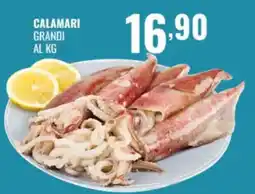 Gecop Calamari grandi offerta