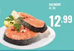 Gecop Salmone offerta