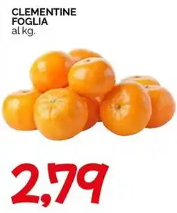 Hardis Clementine Foglia offerta