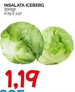 Hardis Insalata iceberg offerta