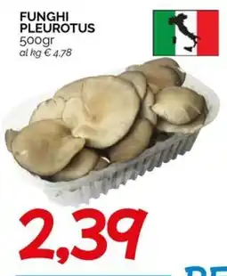 Hardis Funghi Pleurotus offerta