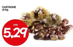 Hardis Castagne offerta