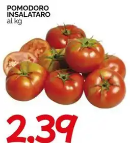 Hardis Pomodoro insalatario offerta