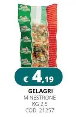 Altasfera Gelagri minestrone offerta