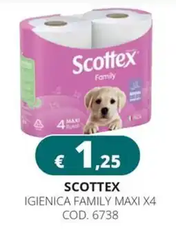 Altasfera Scottex Igiene Family Maxi offerta