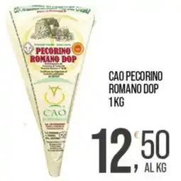 Cash pro Pecorino Romano DOP CAO offerta