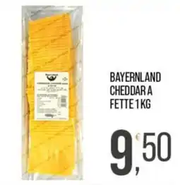 Cash pro Bayernland cheddar a fette offerta