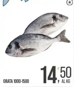 Cash pro Orata offerta