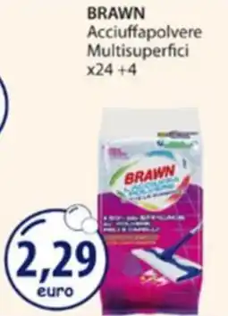 Acqua & Sapone Brawn acciuffapolvere multisuperfici offerta