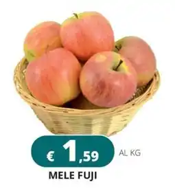 Altasfera Mele Fuji offerta