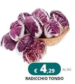 Altasfera Radicchio Tondo offerta