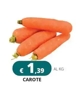 Altasfera Carote offerta