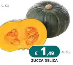 Altasfera Zucca Delica offerta