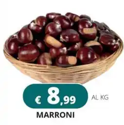 Altasfera Marroni offerta
