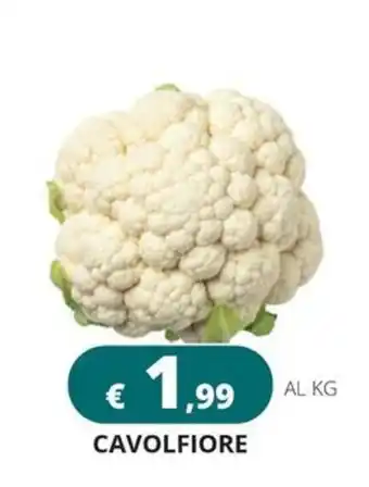 Cavolfiore