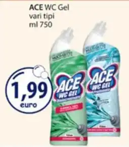 Acqua & Sapone ACE WC Gel offerta