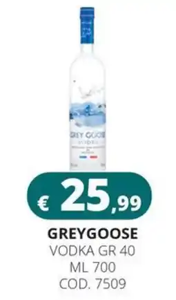 Altasfera Greygoose vodka offerta