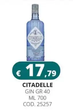 Altasfera Citadelle Gin Gr 40 offerta