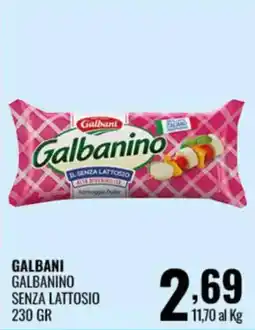 Gecop Galbanino senza lattosio offerta