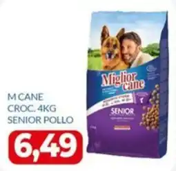 GeD Shopping Miglior cane Senior Pollo offerta