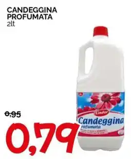 Hardis Candeggina profumata Lindor offerta