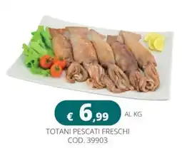 Altasfera Totani pescati freschi offerta