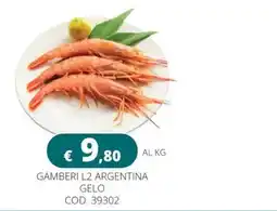 Altasfera Gamberi L2 Argentina offerta
