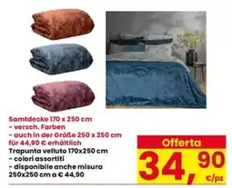 Interspar Trapunta velluto offerta
