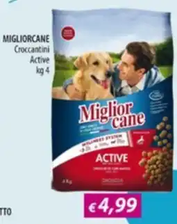 Acqua & Sapone Miglior cane Croccantini Active offerta